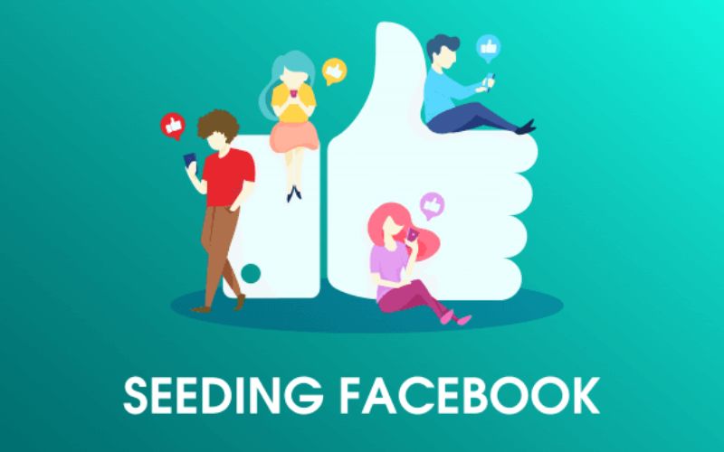 Tầm quan trọng của seeding facebook