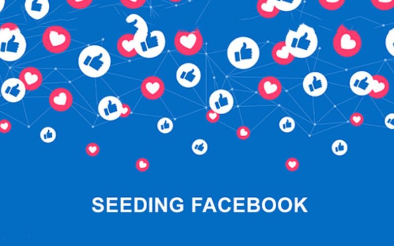 Cách seeding facebook miễn phí